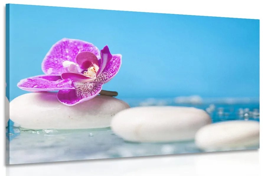 Obraz orchidea a Zen kamene Varianta: 120x80