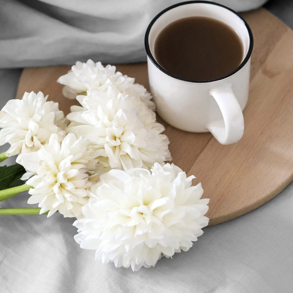 RENFORCÉ PRESTIERADLO BASIC 100X200 CM STRIEBORNÉ