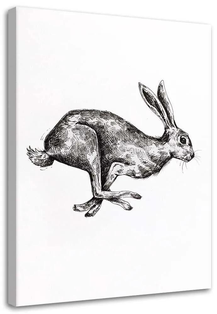 Gario Obraz na plátne Zajac na úteku - Jan Perit Kablan Rozmery: 40 x 60 cm