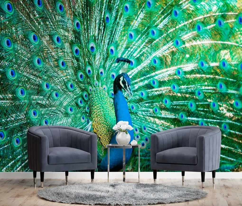 Gario Fototapeta Farebný páv Materiál: Vliesová, Rozmery: 150 x 105 cm