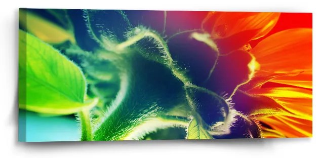 Sablio Obraz Dúhový kvet - 110x50 cm
