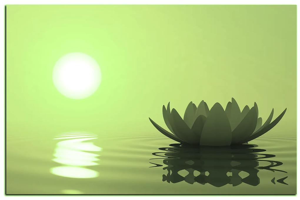 Obraz na plátne - Zen lotus 1167ZA (120x80 cm)