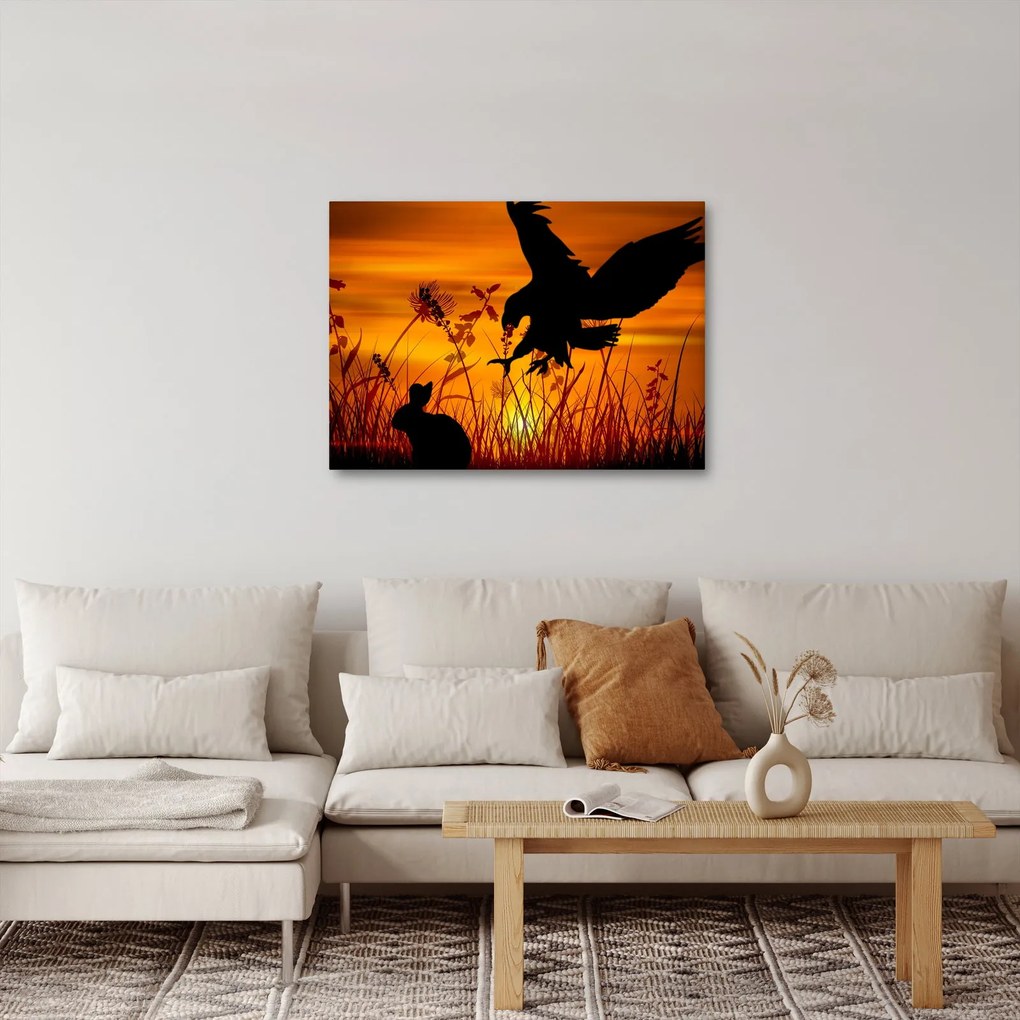 Obraz siluety dravca (70x50 cm)