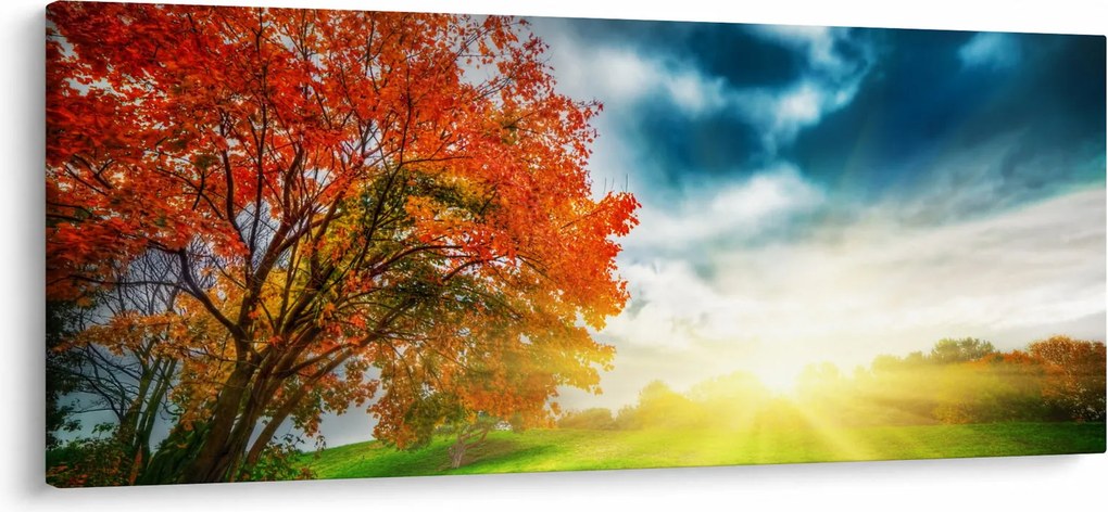 Obraz krajiny zaliate slnečným svitom (120x50 cm)