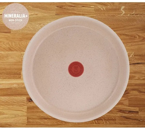 Tefal - 6-dielna sada riadu INGENIO DELIGHT