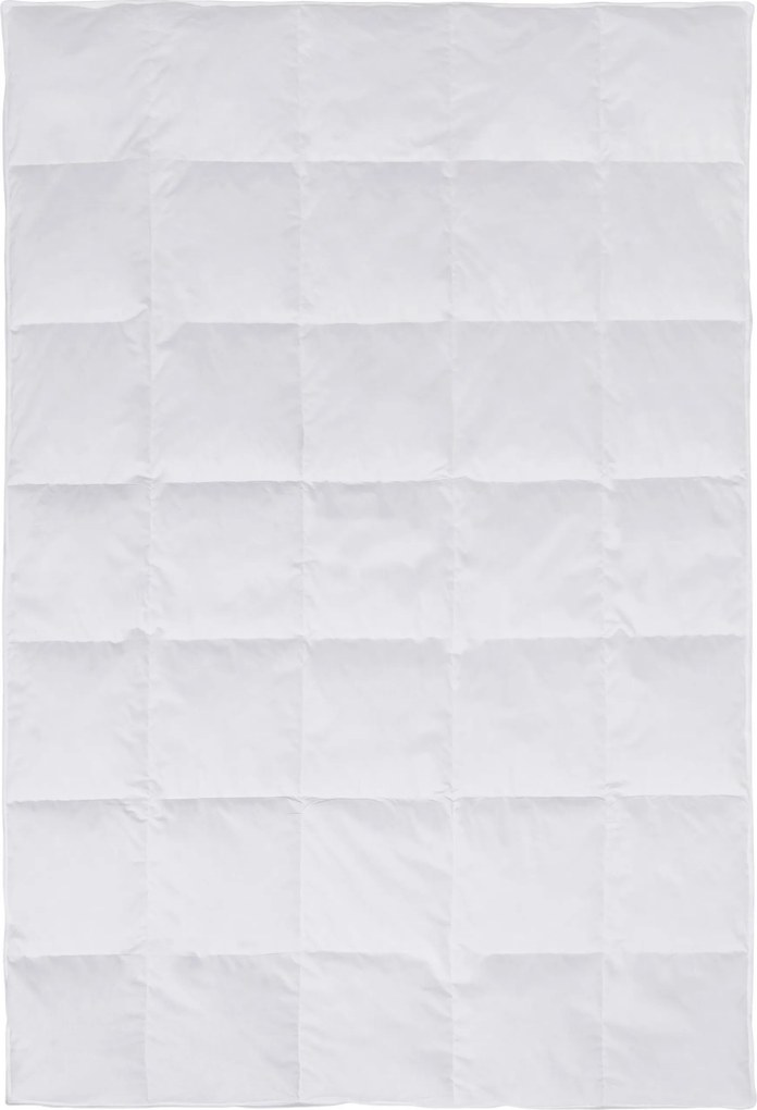 XXXLutz CELOROČNÁ PRIKRÝVKA, 135/200 cm, perie, páperie Boxxx - Prikrývky & vankúše - 007992077501