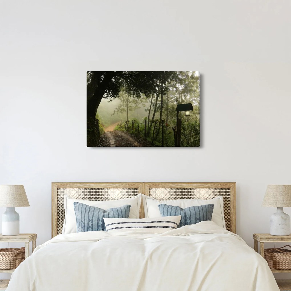 Obraz rannej hmly (90x60 cm)