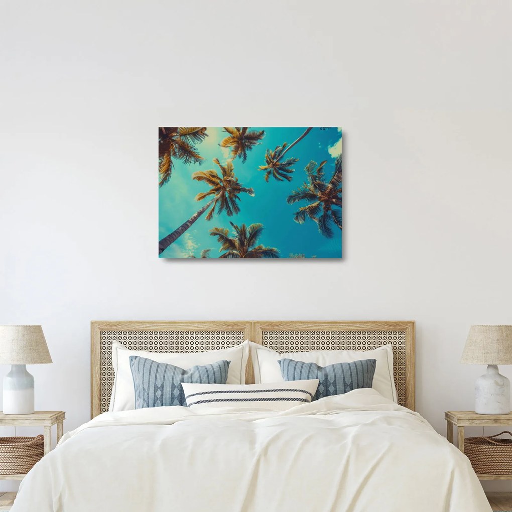 Sklenený obraz - Vysoké palmy (70x50 cm)