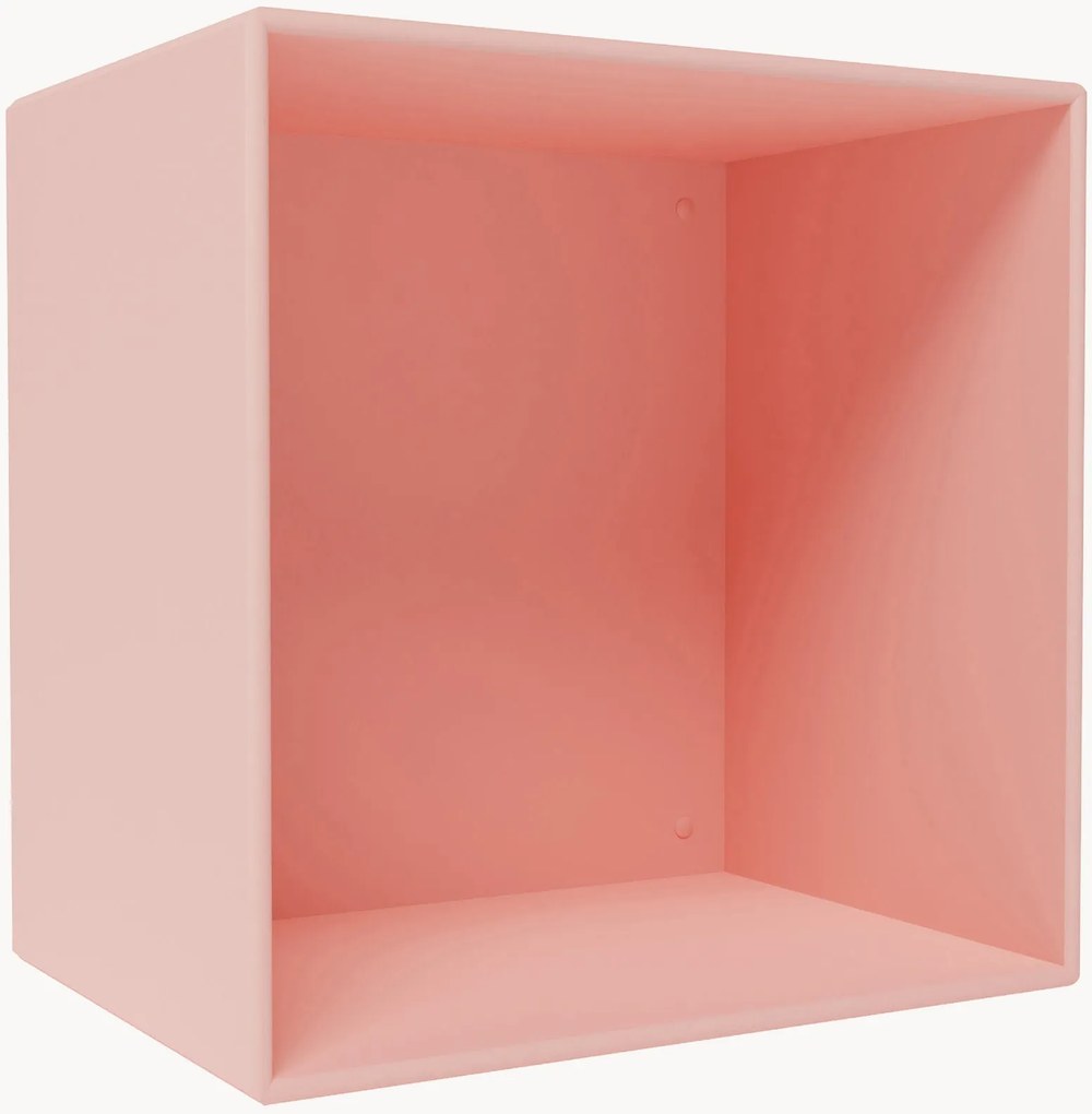 Modul Mini 1001