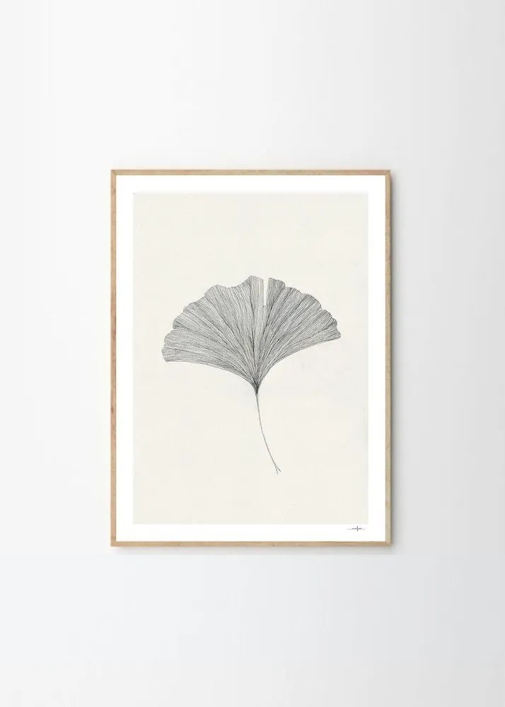 Plagát 50x70 cm Ginkgo Leaf – Ana Frois – The Poster Club