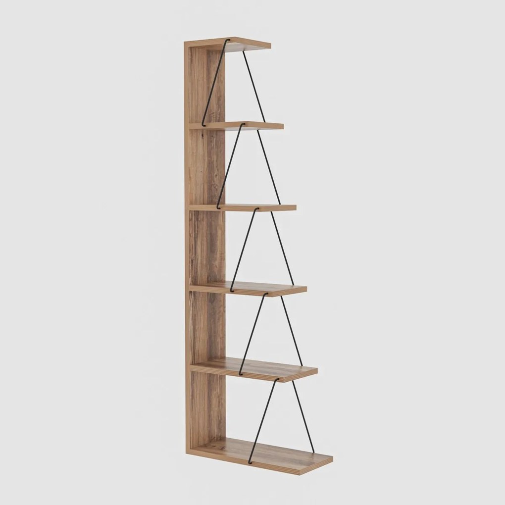 Knižnica Tlos borovica atlantic/čierna