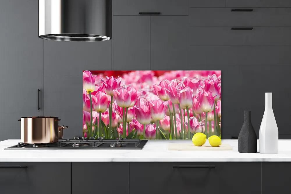 Sklenený obklad Do kuchyne Tulipány kvety príroda 120x60 cm