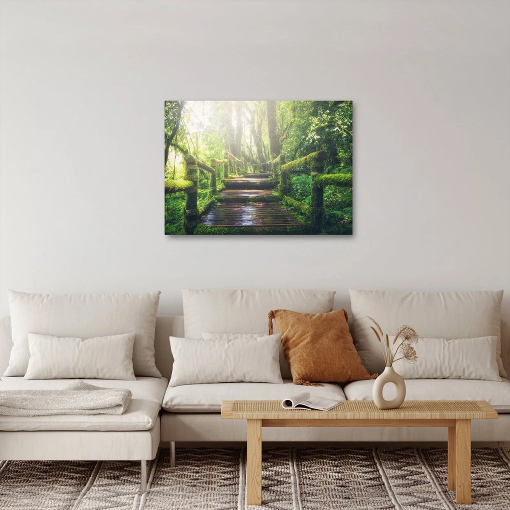 Obraz - drevené schody v lese (70x50 cm)