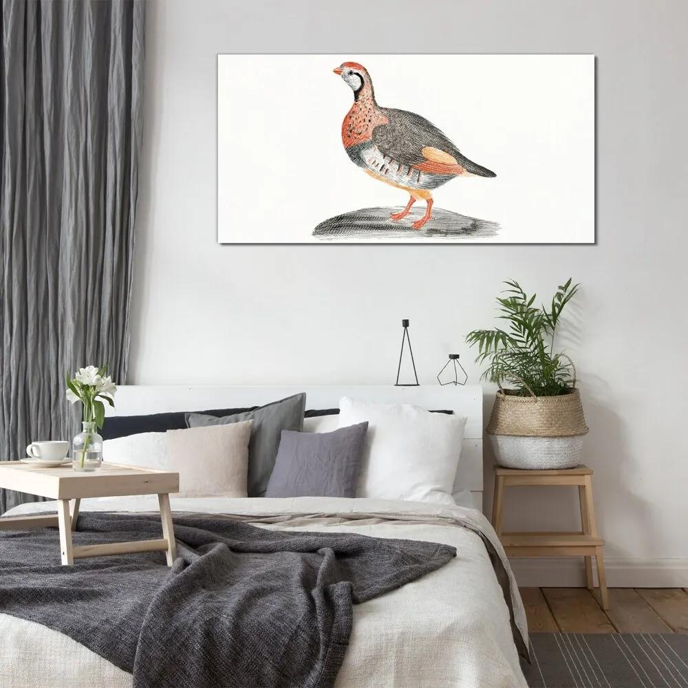 Obraz na skle Kreslenie zvierat vták