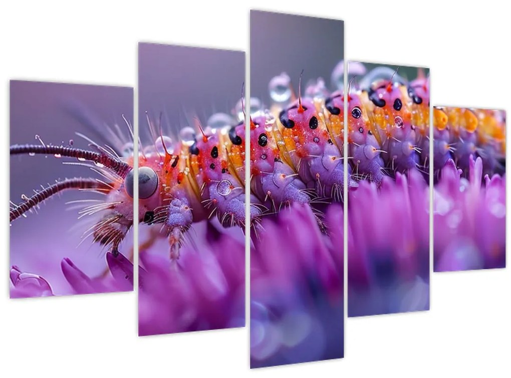 Obraz - Húsenica (150x105 cm)