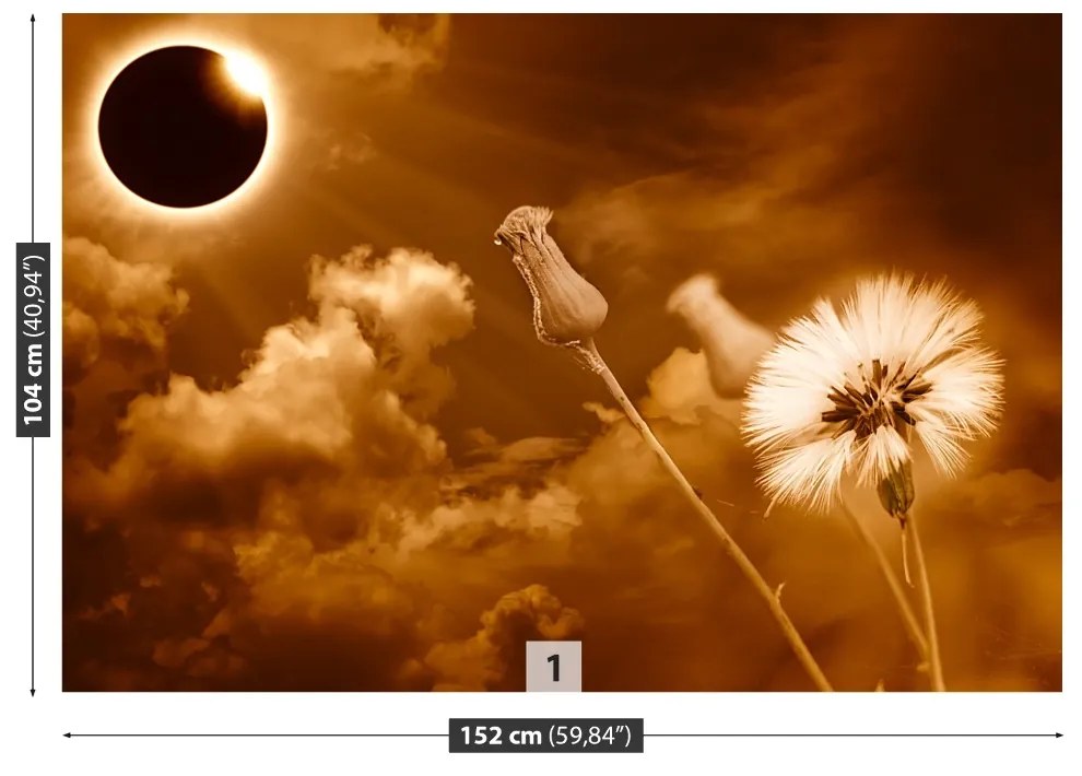 Fototapeta Vliesová Púpava slnka. 416x254 cm