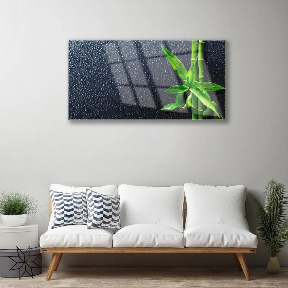 Skleneny obraz Bambus stonka rastlina príroda 125x50 cm