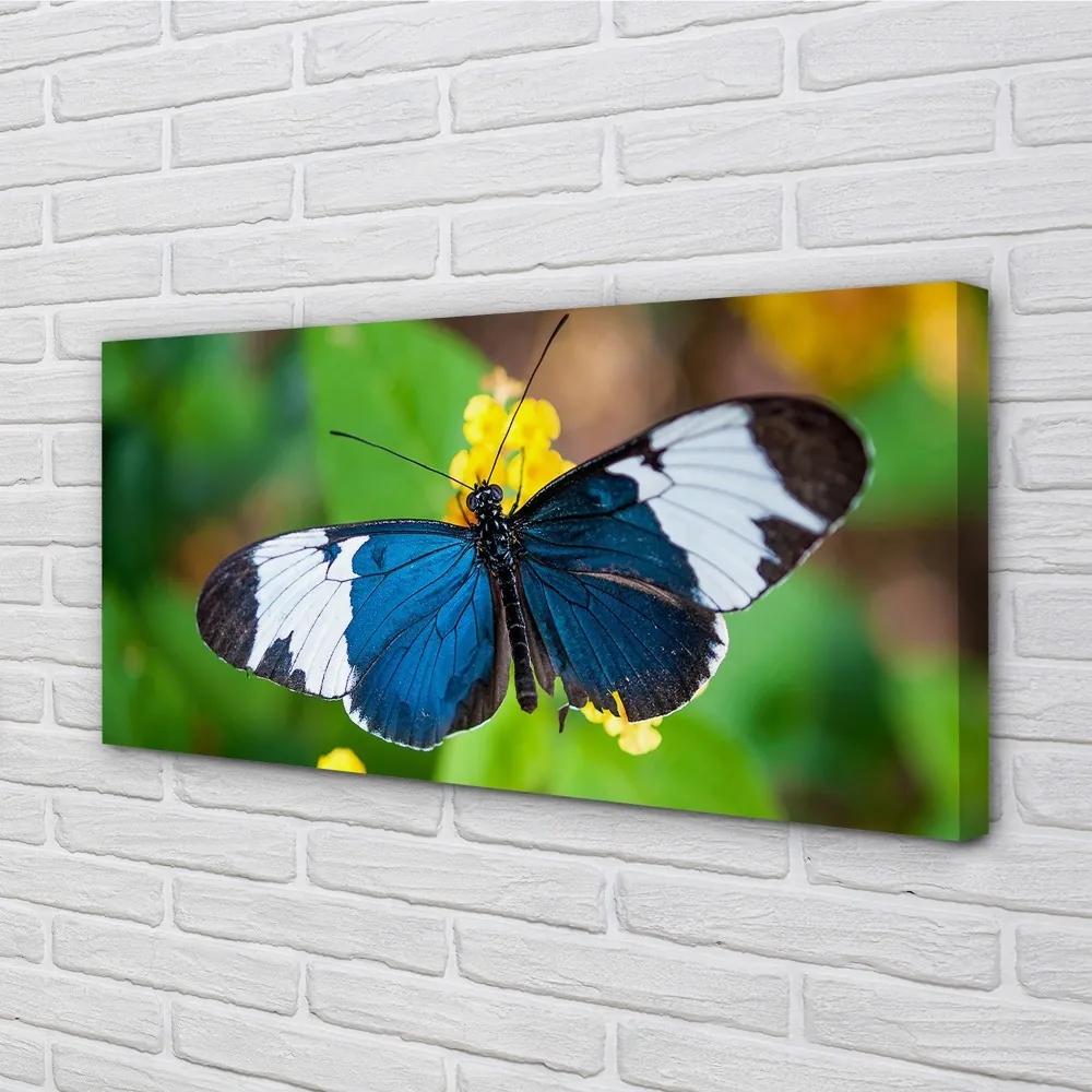 Obraz na plátne Farebný motýľ na kvety 140x70 cm