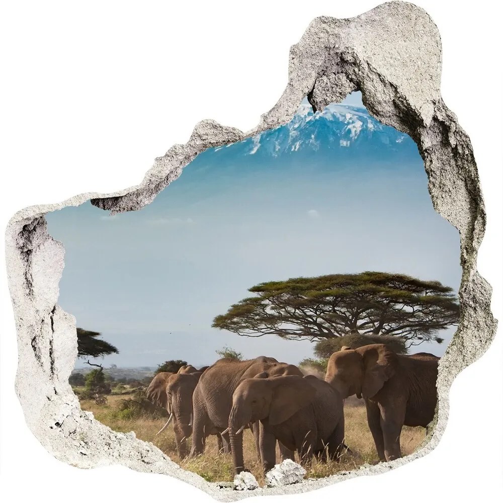 Samolepiaca diera nálepka Slony kilimandžáro nd-p-100418826