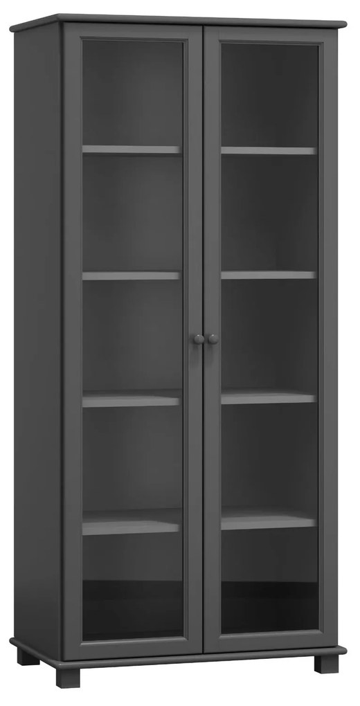 Vitrína RW106 90x42 cm Dub