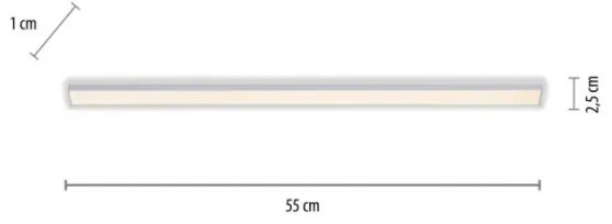 Paul Neuhaus 1125-21-A - LED Podlinkové svietidlo AMON LED/6W/12/230V