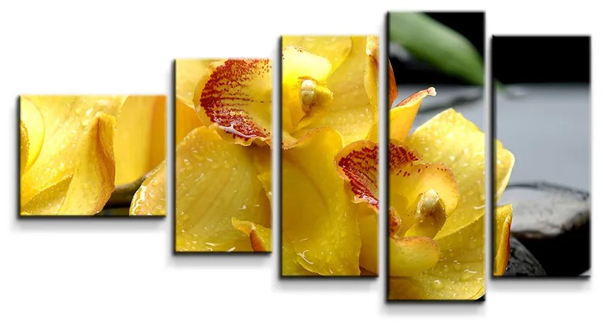 Sablio Obraz - 5-dílný Žltá Orchidey - 100x60 cm