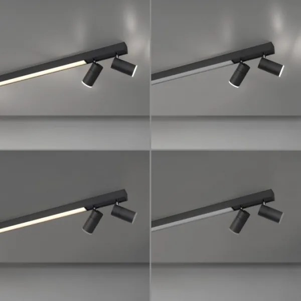 Paul Neuhaus 6121-13 - LED Stmievateľné bodové svietidlo 4xLED/4W/230V + LED/9W+DO