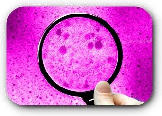 Antibakteriálny matrac LATEX 24 cm 80x200 cm Ochrana matraca: BEZ chrániča matraca