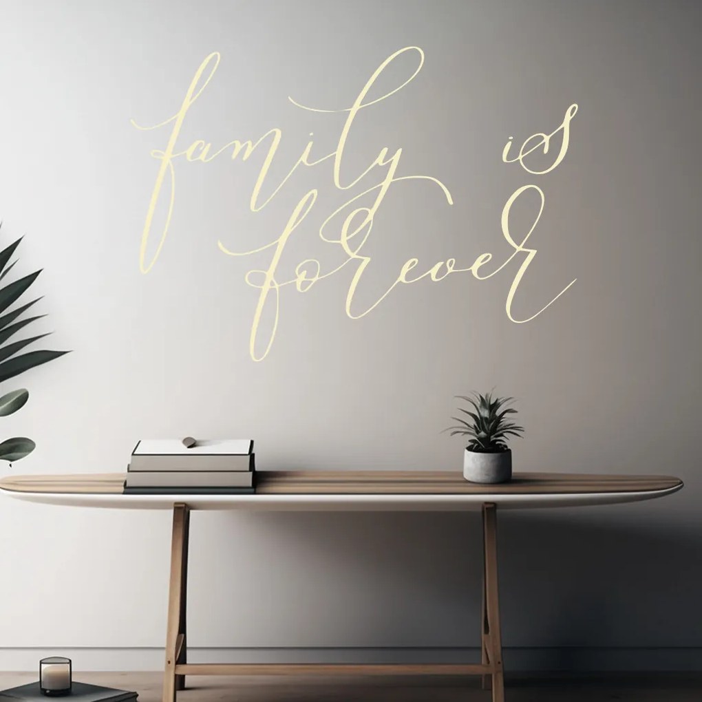Veselá Stena Samolepka na stenu na stenu Family is forever Farba: čierna