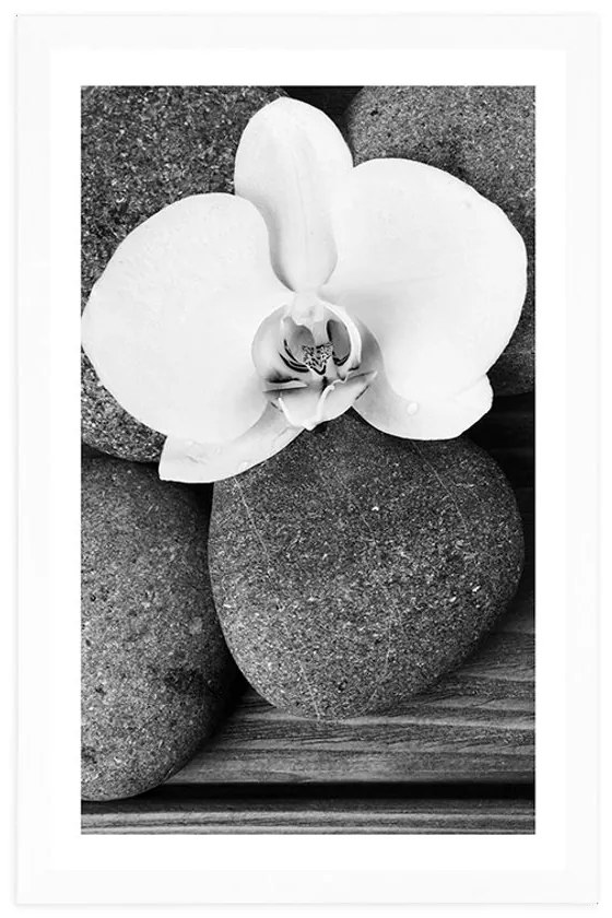 Plagát s paspartou wellness kamene a orchidea na drevenom pozadí v čiernobielom prevedení - 40x60 silver