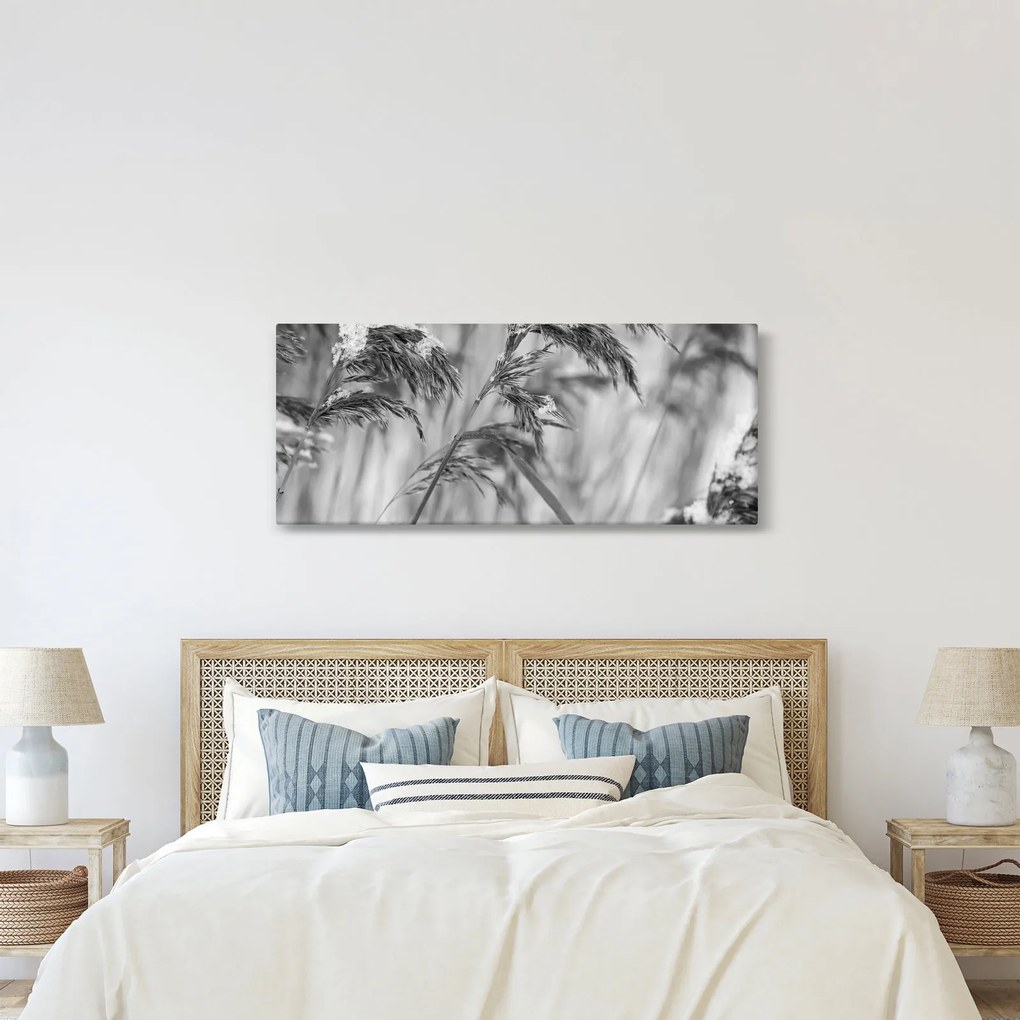 Obraz - Lipnica, čiernobiela (120x50 cm)