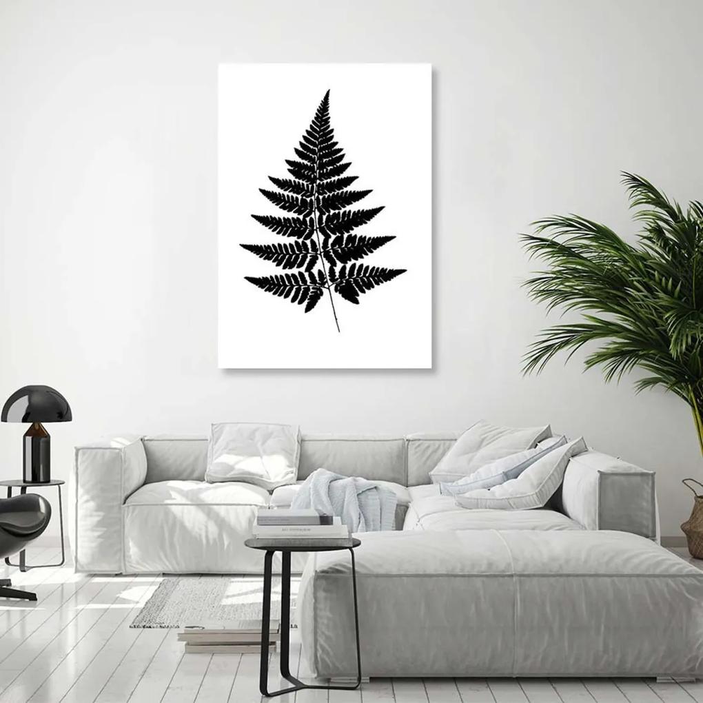 Obraz na plátně Kapradinový list černobílý - 60x90 cm