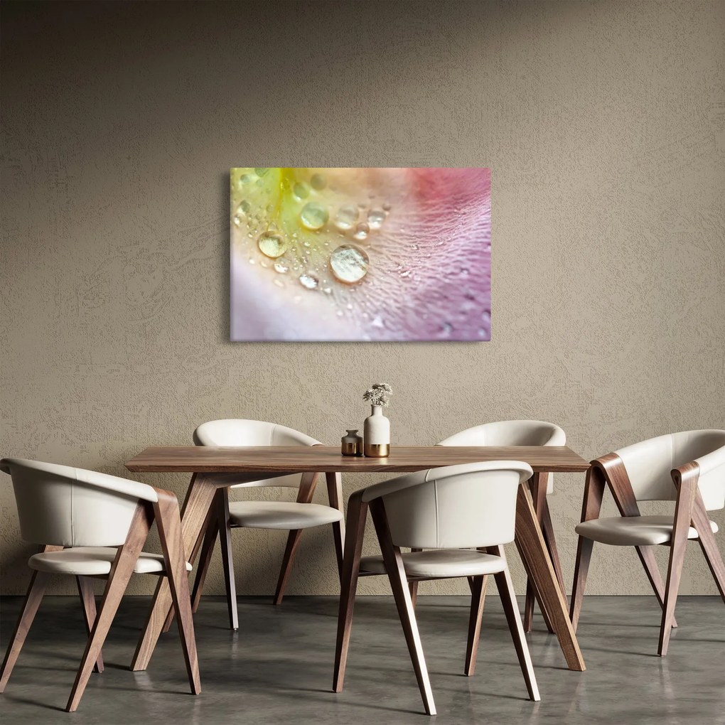 Obraz - Kvapôčky (90x60 cm)