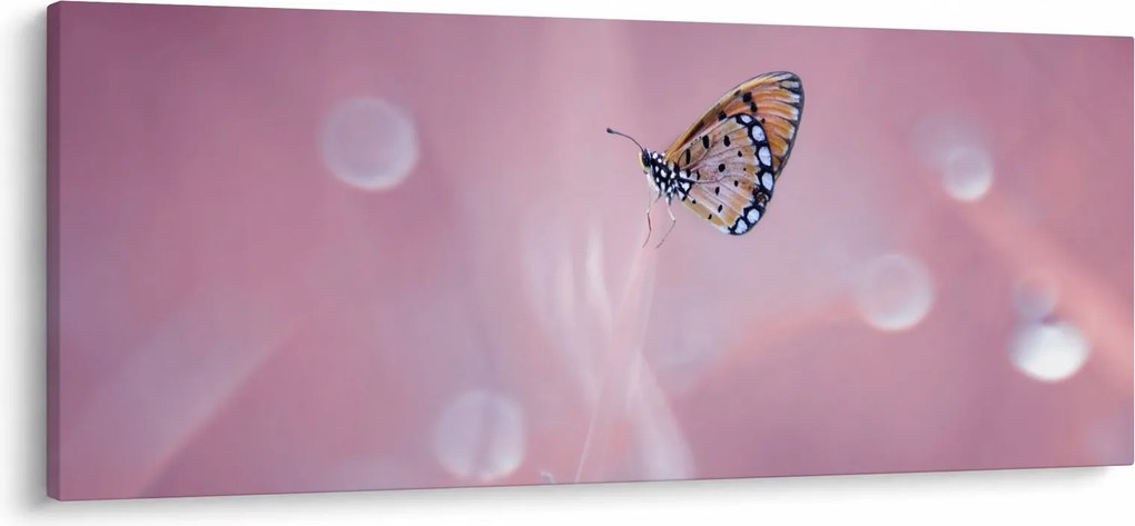 Obraz - Motýlik (120x50 cm)