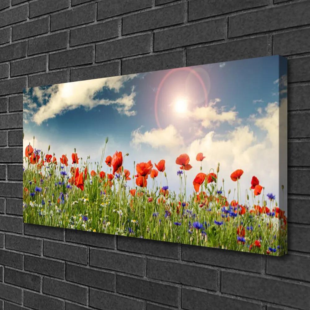 Obraz Canvas Lúka kvety slnko príroda 140x70 cm
