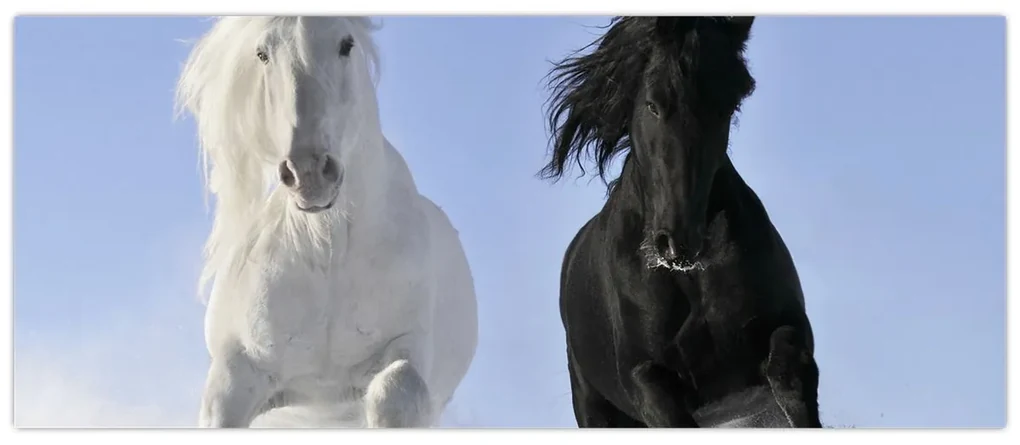 Obraz - Kone v zime (120x50 cm)