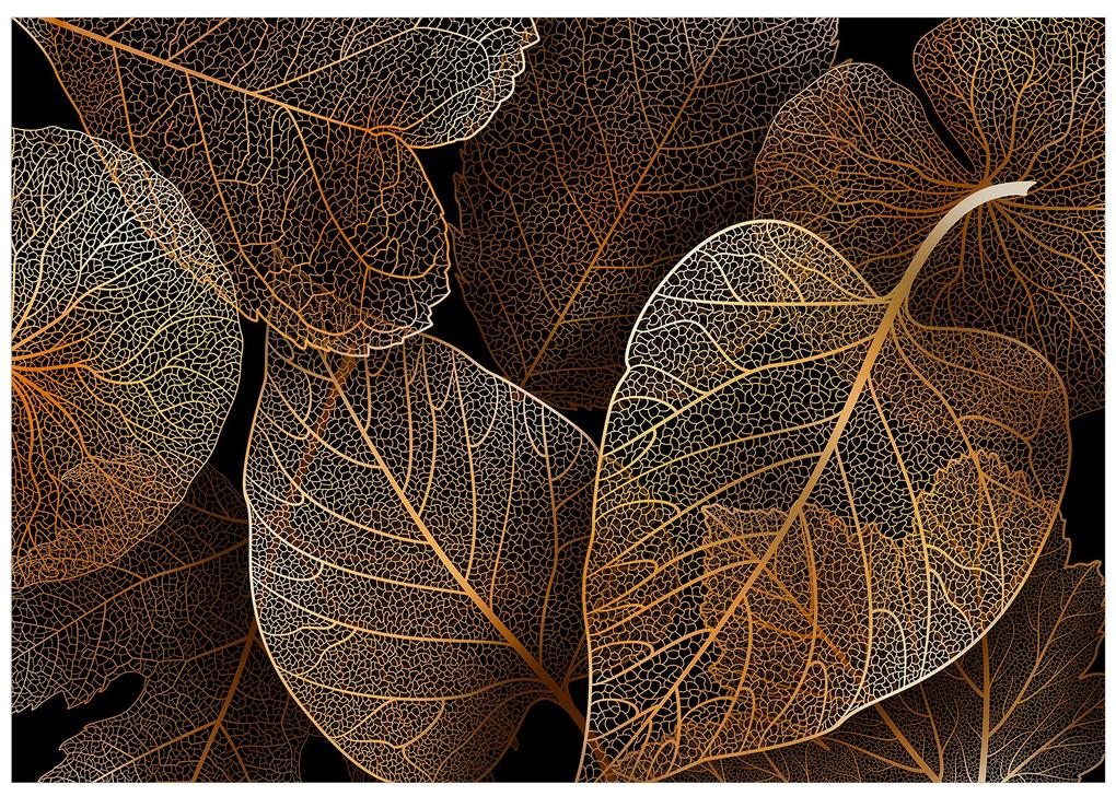 Artgeist Fototapeta - Nature in My Home - First Variant Veľkosť: 100x70, Verzia: Standard