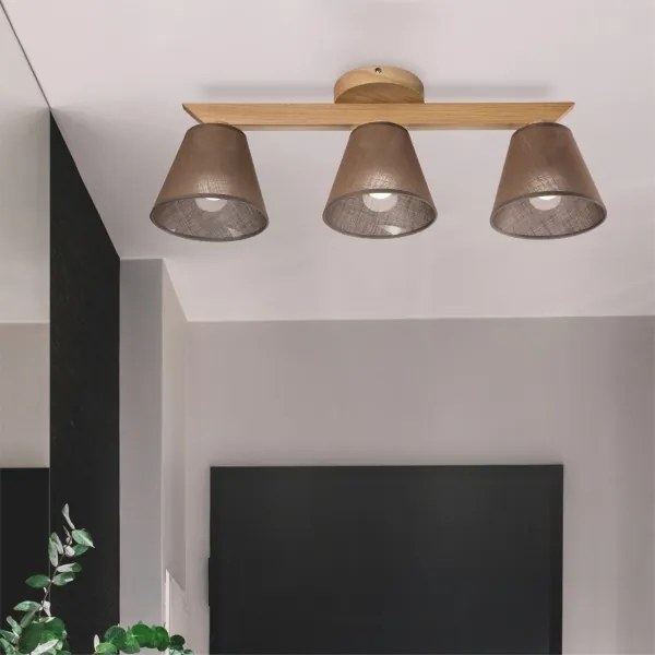 Brilagi - LED  Prisadený luster ANTHONY 3xE14/40W/230V dub/hnedá