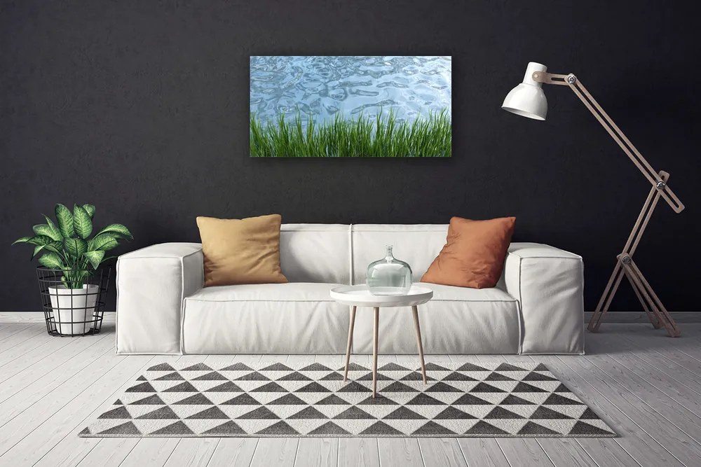 Obraz Canvas Tráva voda príroda 140x70 cm