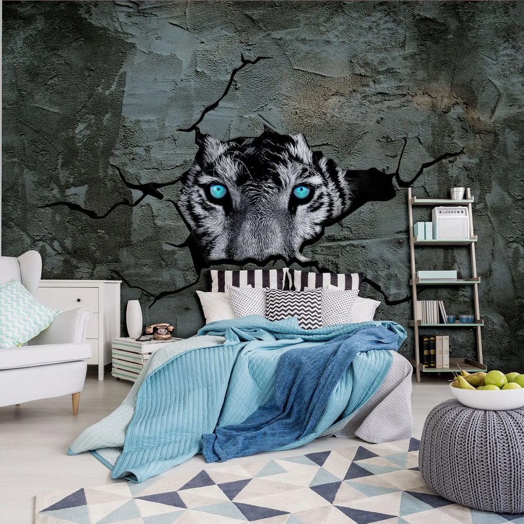 Fototapeta - Tiger s modrými očami (254x184 cm)