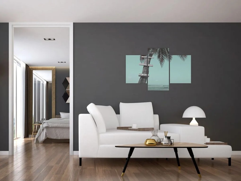 Obraz - Palma v Karibiku (90x60 cm)