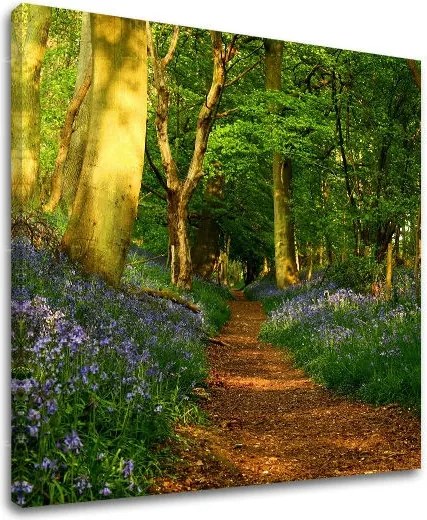 Obraz na stenu STROMY ST009E12