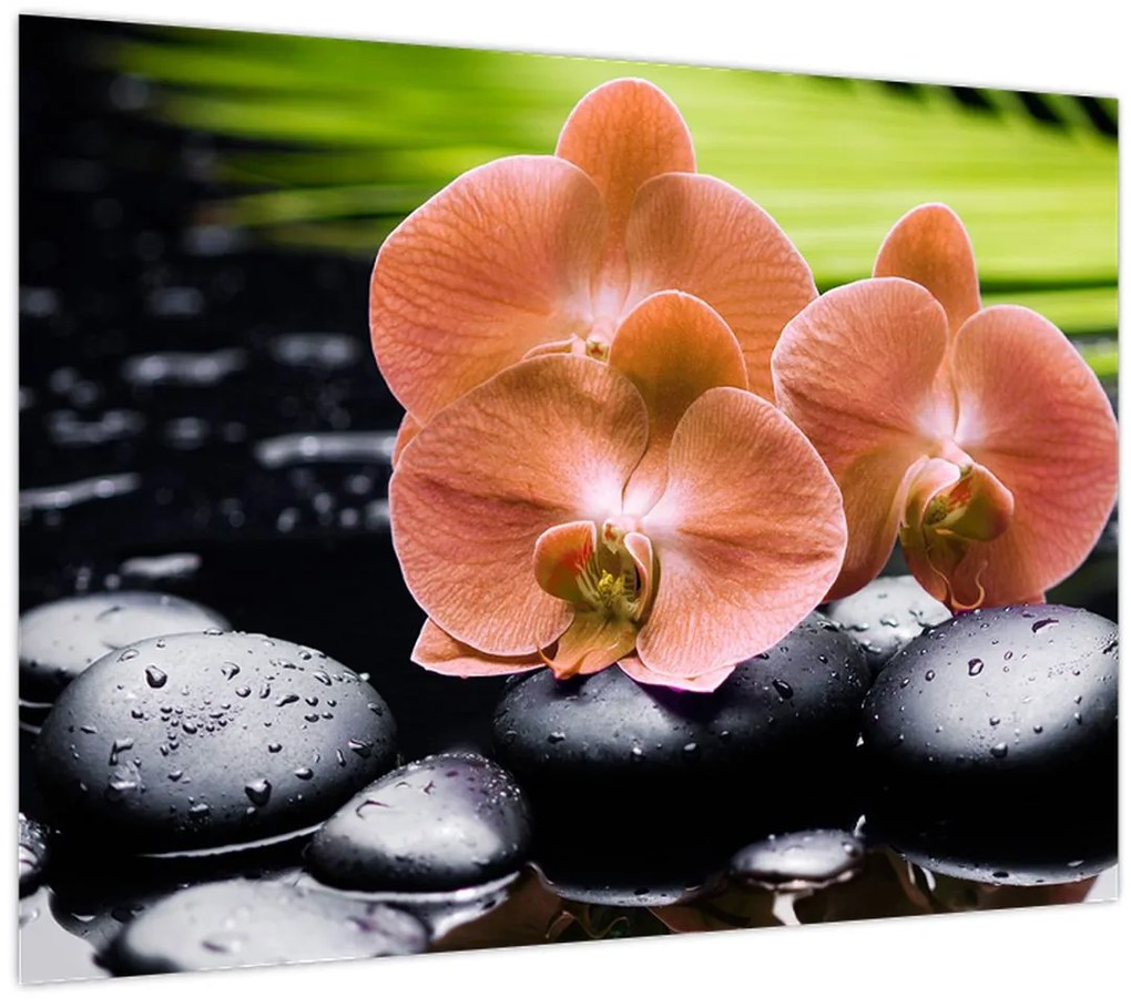 Sklenený obraz - Oranžová orchidea s palmovými listami (70x50 cm)