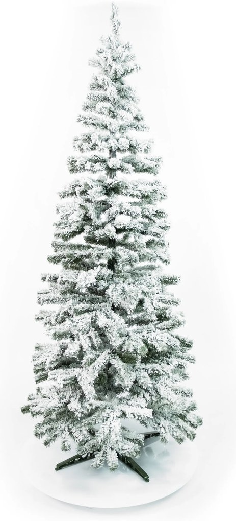 Limpol Vianočný stromček Jedľa Karolína – zasnežená Výška stromčeka: 120 cm