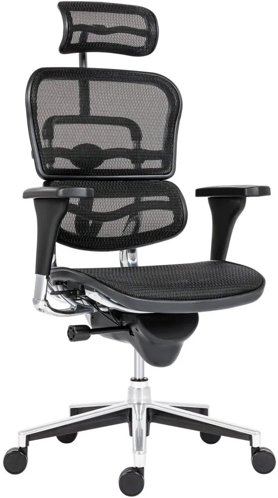 Kancelárska ergonomická stolička ERGOHUMAN — sieť, čierna, nosnosť 150 kg