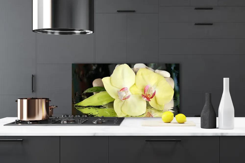 Sklenený obklad Do kuchyne Okvetné plátky orchidea 140x70 cm