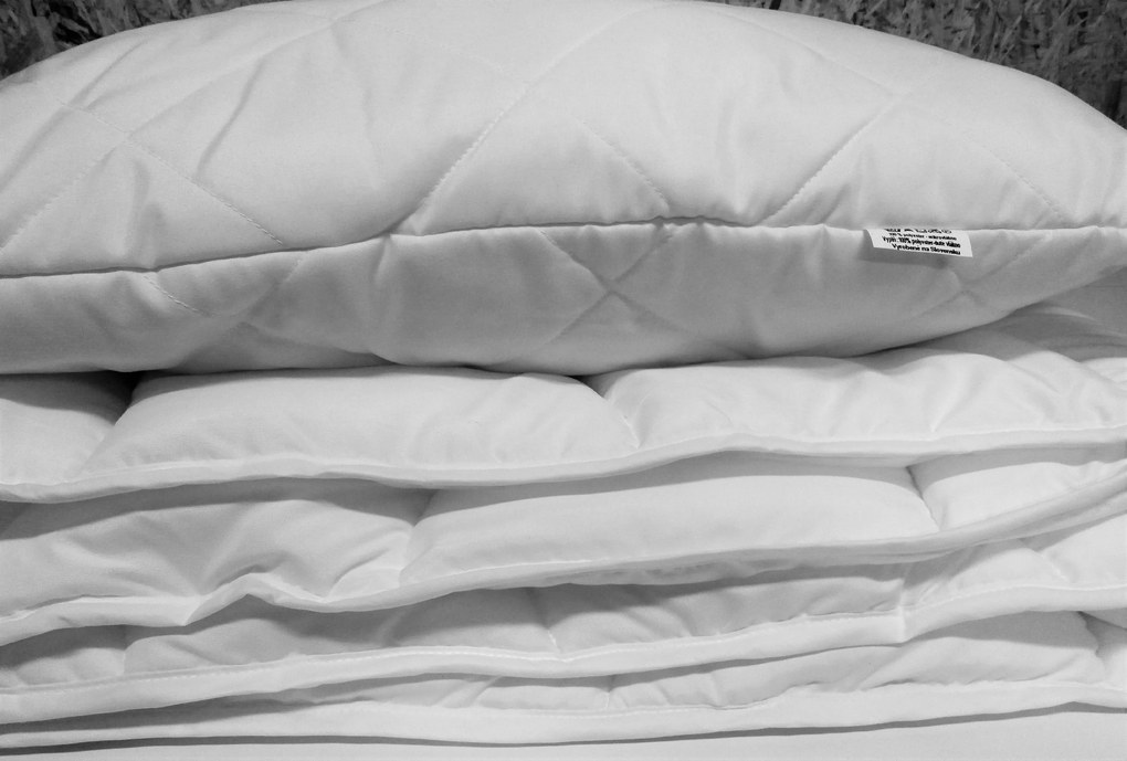 Paplón a vankúš ANTIALERGICKÝ Detský Bavlna/Polyester 65 x 45 90 x 135 cm