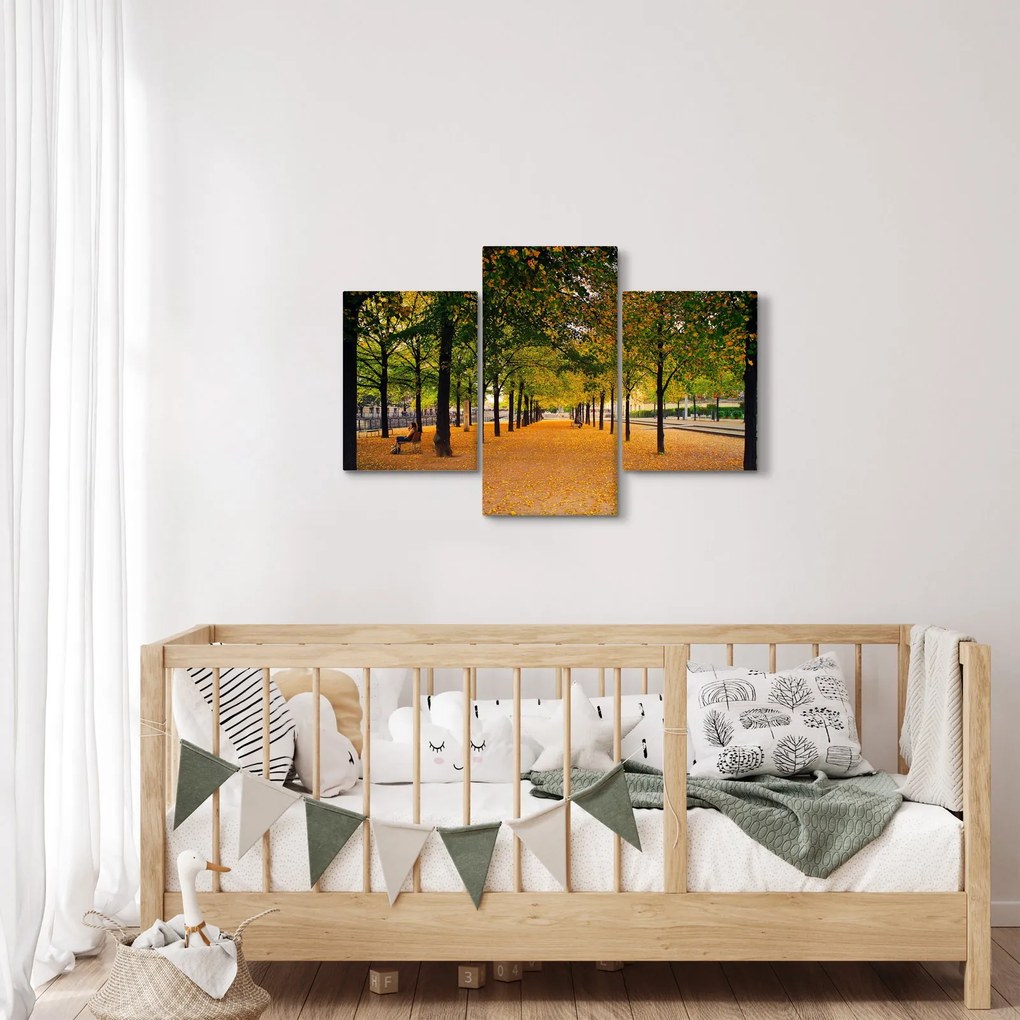 Obraz aleje jesenných stromov (90x60 cm)