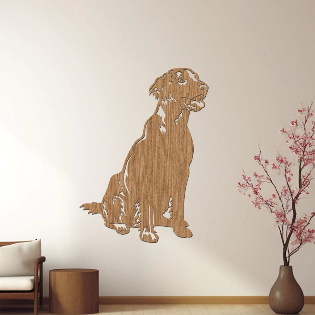 dřevo života Drevená dekorácia s motívom psa Flat Coated Retriever Rozmery - cm: 30x40, Zvoľte farbu dekoru: Buk