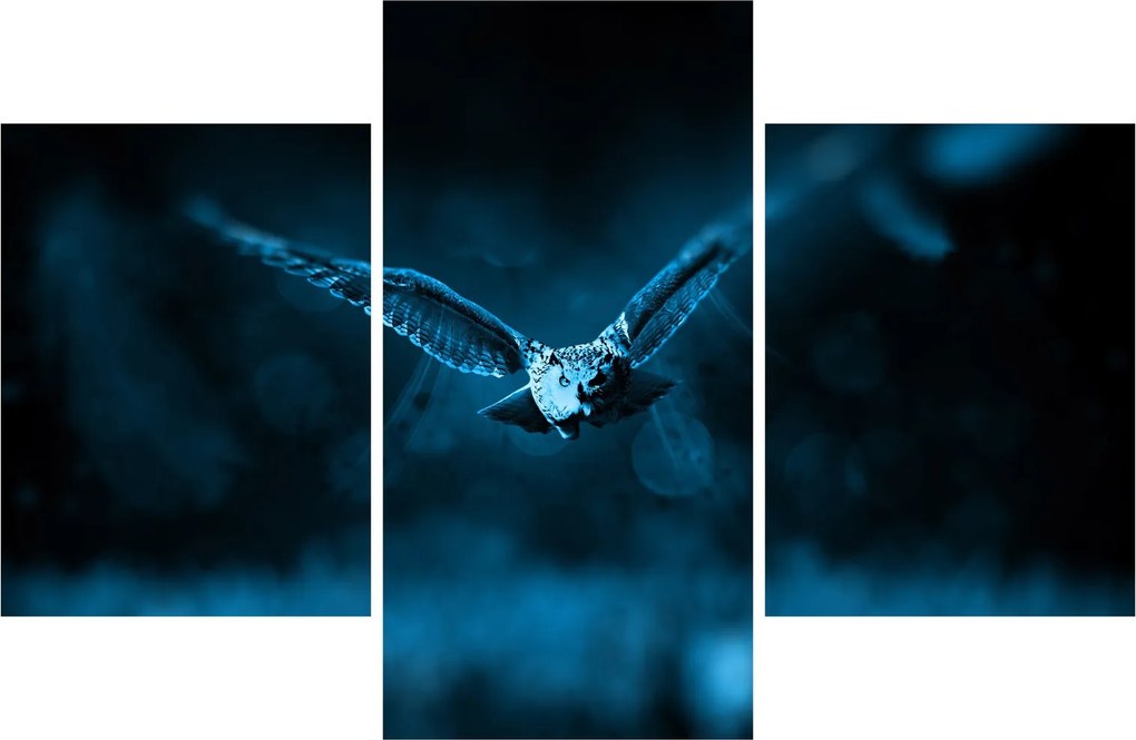 Obraz letiacej sovy (90x60 cm)